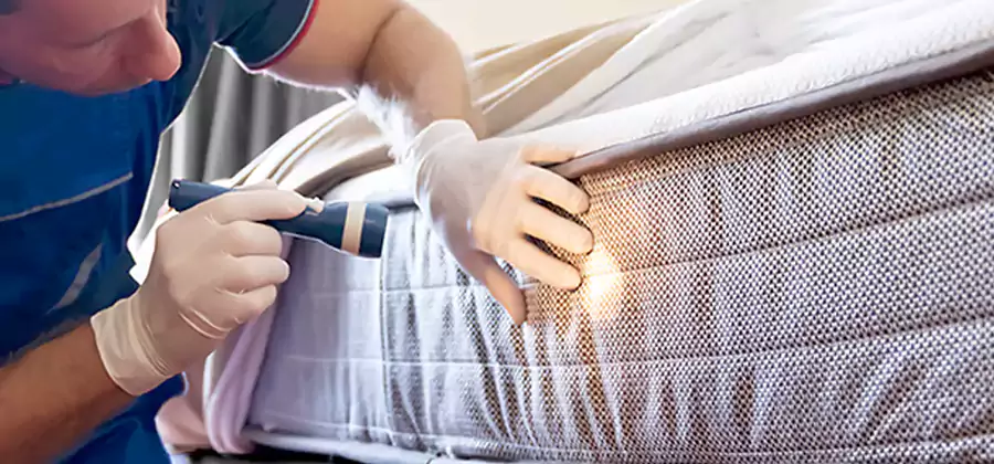 Residential Bed Bug Treatment Cost in Stockbridge