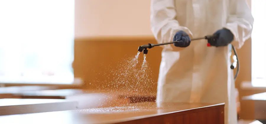 Residential Bed Bug Treatment Option in Stockbridge