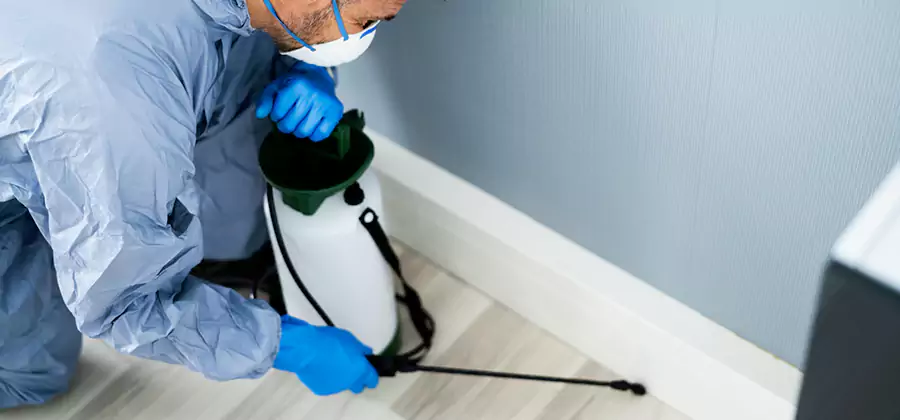 Fumigate Apartment Roaches in Stockbridge