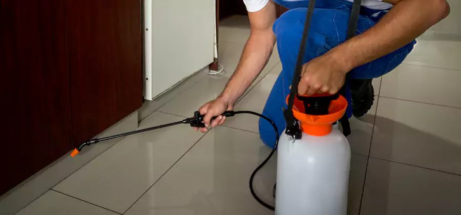 Indoor Mosquito Treatment in Stockbridge