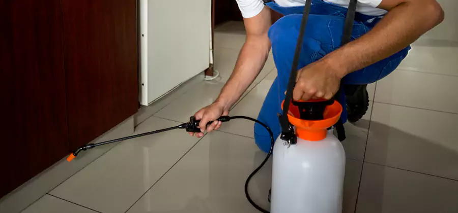 Indoor Insect Killer Solutions in Stockbridge