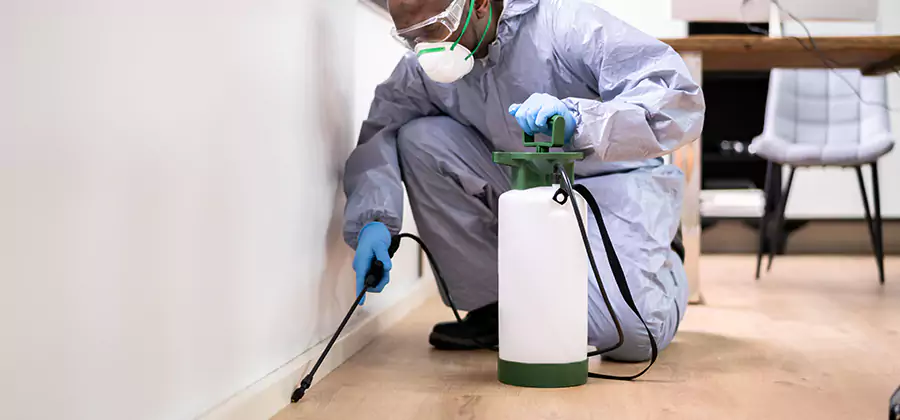 Long Lasting Mosquito Treatment in Stockbridge