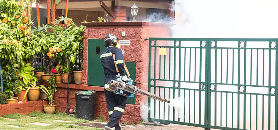 Backyard Mosquito Foggers Service in Stockbridge