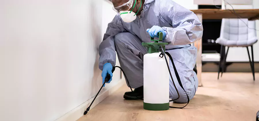 No Tent Termite Extermination With Electric Tool in Stockbridge