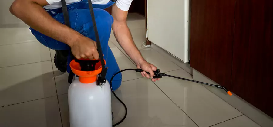One Time Termite Control in Stockbridge