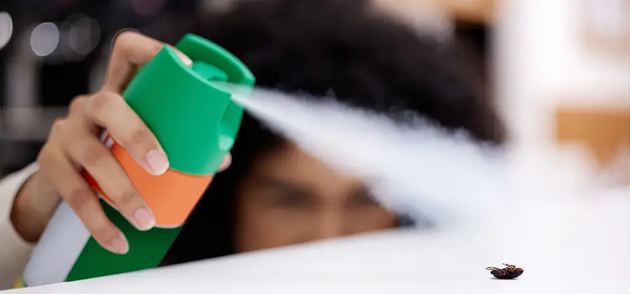 Child Safe Bed Bug Treatment in Stockbridge