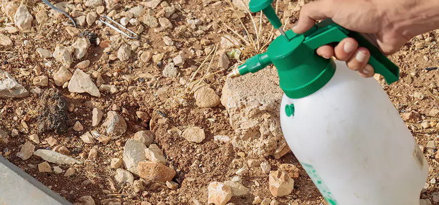 Heat Treatment Termite Cost in Stockbridge