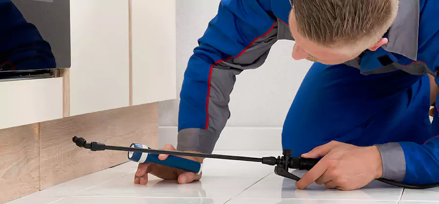 Moisture Treatment For Termite Control Service in Stockbridge