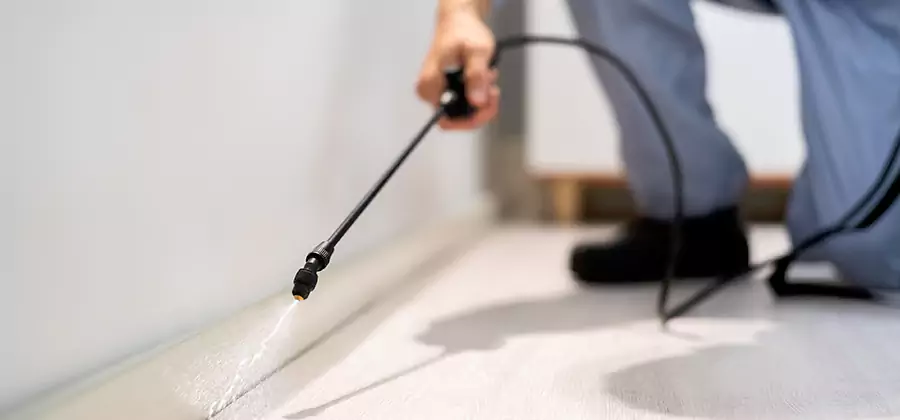 Direct Termite Injection Treatment in Stockbridge