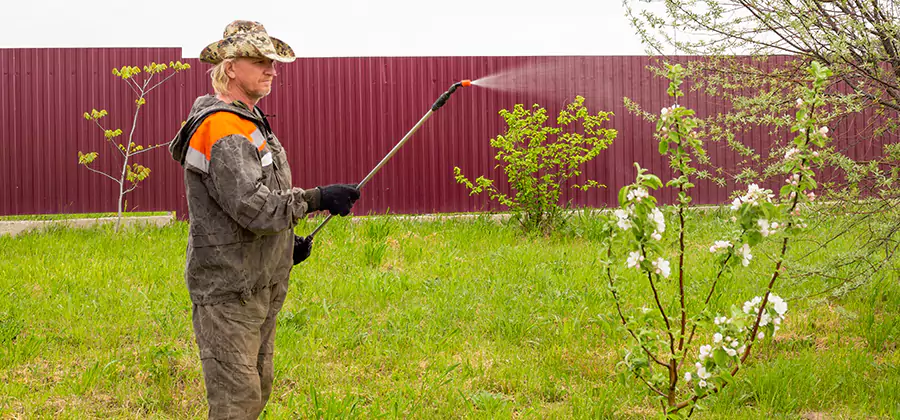 Flea and Tick Spray for Yard in Stockbridge