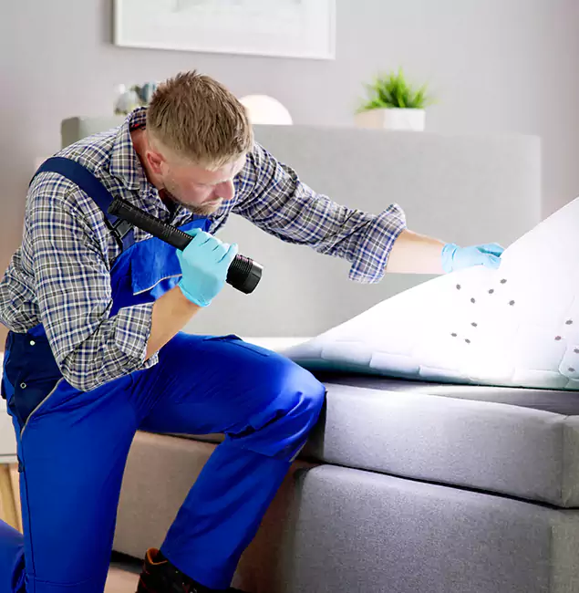 Why Choose Stockbridge Pest Control Pro for Bed Bug Exterminator Cost in Stockbridge, GA?