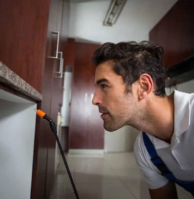 Why Choose Stockbridge Pest Control Pro for Bed Bug Removal Cost in Stockbridge, GA?