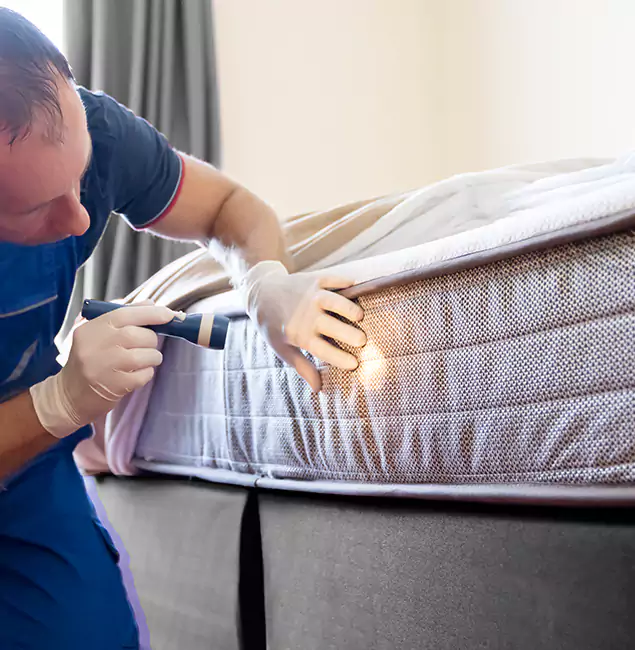 Why Choose Stockbridge Pest Control Pro for Bed Bug Services in Stockbridge, GA?