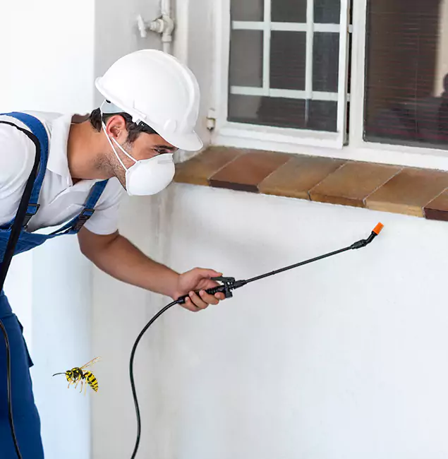 Why Stockbridge Property Owners Choose Stockbridge Pest Control Pro for Bee Nest Removal?