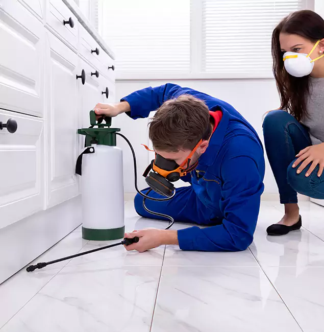 Why Choose Stockbridge Pest Control Pro in Stockbridge, GA?