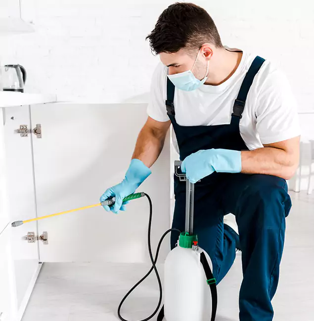 Why Choose Stockbridge Pest Control Pro for Emergency Pest Control in Stockbridge?