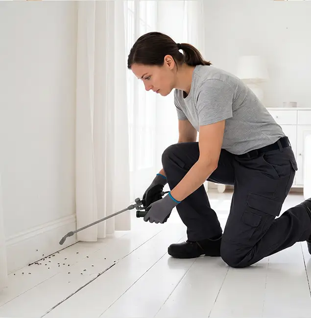 Why Stockbridge, GA Property Owners Trust Stockbridge Pest Control Pro for Fire Ant Control?
