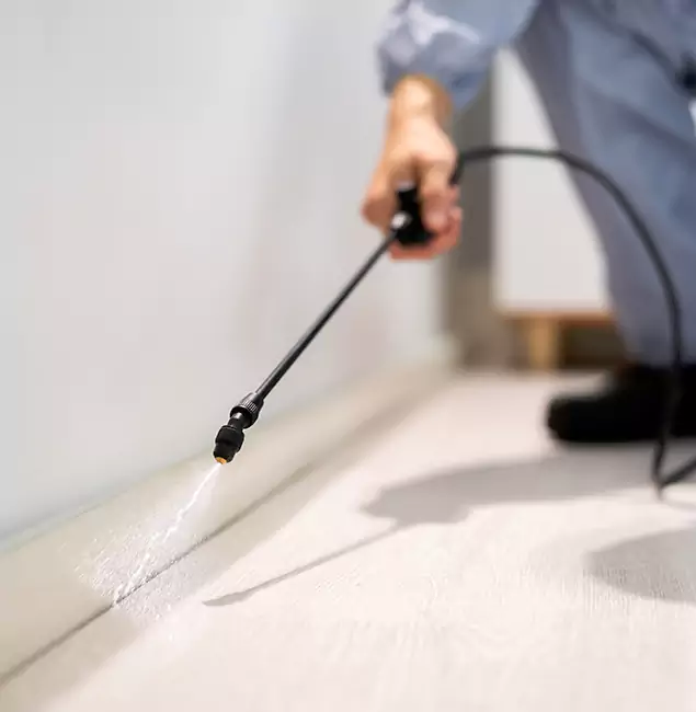 Why Choose Stockbridge Pest Control Pro for Termite Treatment in Stockbridge, GA?