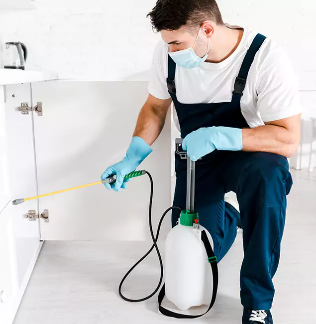 Why Stockbridge, GA Homeowners Trust Us for German Roach Control?