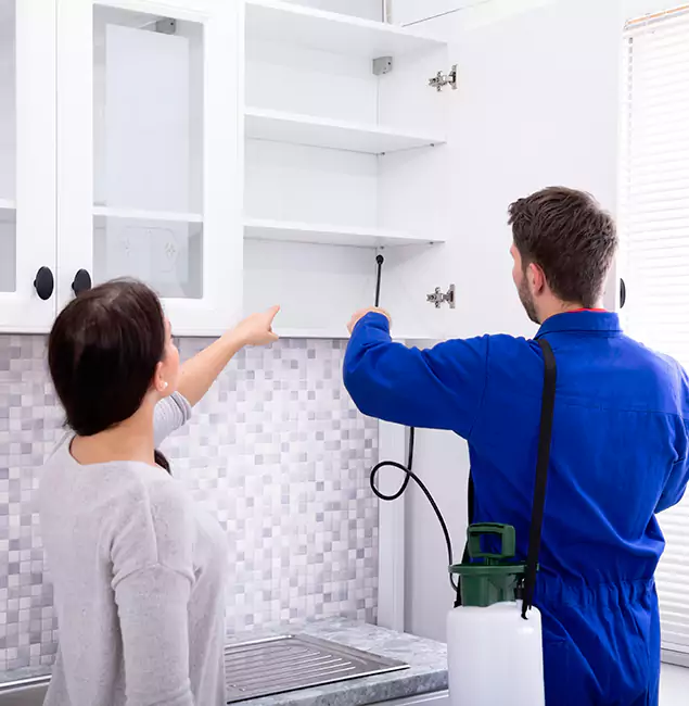 Why Stockbridge Property Owners Choose Stockbridge Pest Control Pro for Ground Bee Removal?