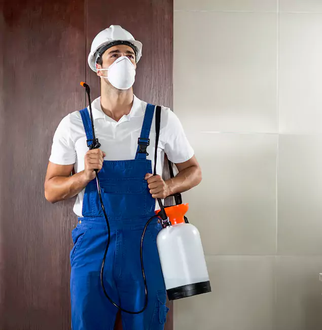 Why Choose Us for Heat Treatment for Termites in Stockbridge, GA?