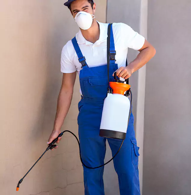 What Makes Stockbridge Pest Control Pro the Right Choice in Stockbridge, GA?