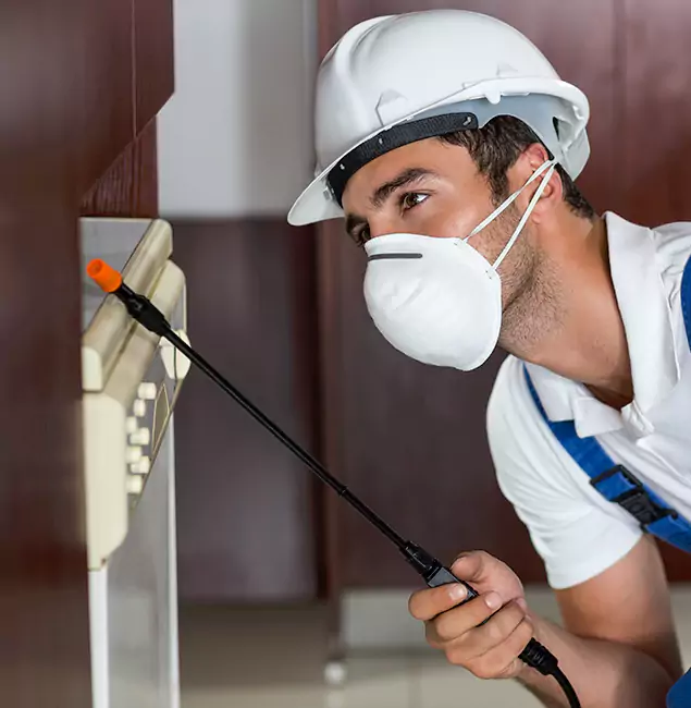 Why Stockbridge Homeowners Rely on Stockbridge Pest Control Pro for Tick Treatment?