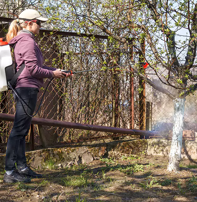 Why Stockbridge Homeowners Choose Stockbridge Pest Control Pro for Mosquito Abatement?
