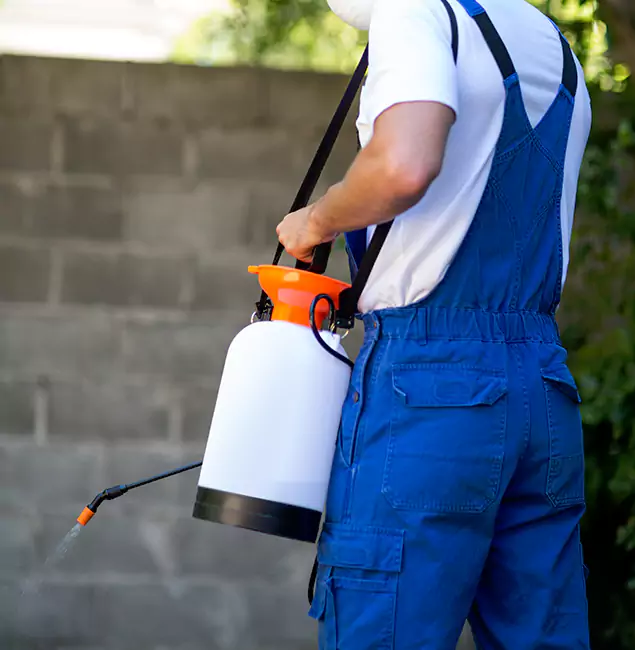 Why Stockbridge Homeowners Rely on Stockbridge Pest Control Pro for Mosquito Control?