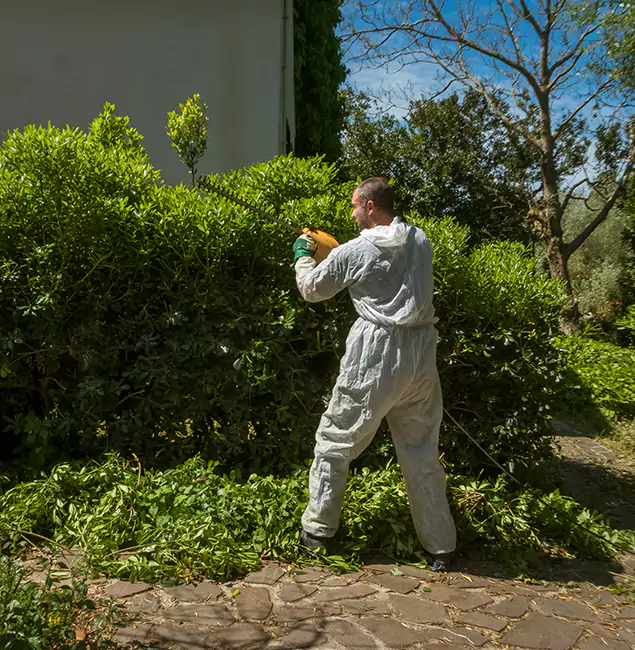 Why Stockbridge Pest Control Pro Leads Mosquito Control in Stockbridge, GA?