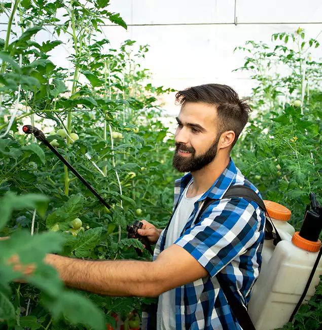 Why Stockbridge Homeowners Choose Stockbridge Pest Control Pro for Mosquito Spraying?
