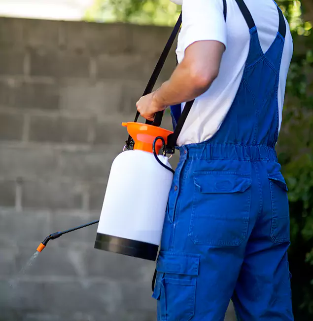 Why Stockbridge Pest Control Pro Delivers the Best Mosquito Control in Stockbridge, GA?
