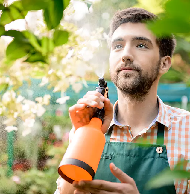 Why Stockbridge Homeowners Call Stockbridge Pest Control Pro for Mosquitoes in House?
