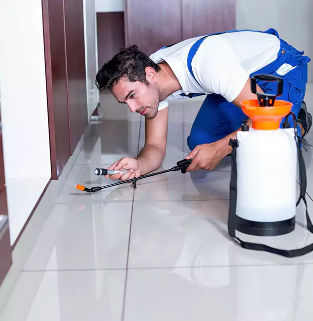 Why Stockbridge Pest Control Pro Is the Proven Choice in Stockbridge, GA?