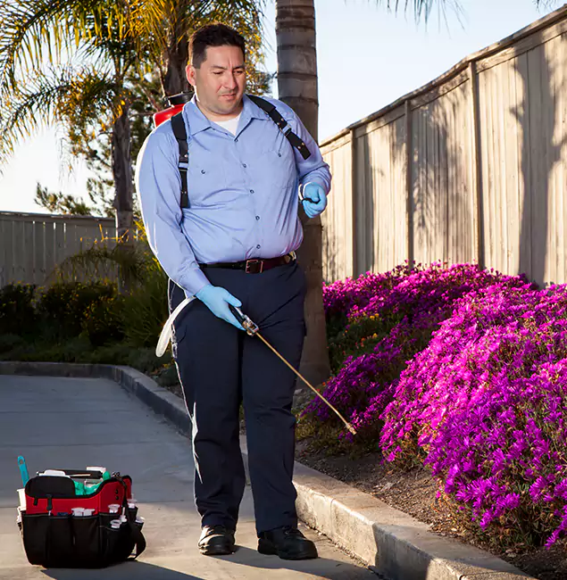 Why Choose Stockbridge Pest Control Pro in Stockbridge, GA?
