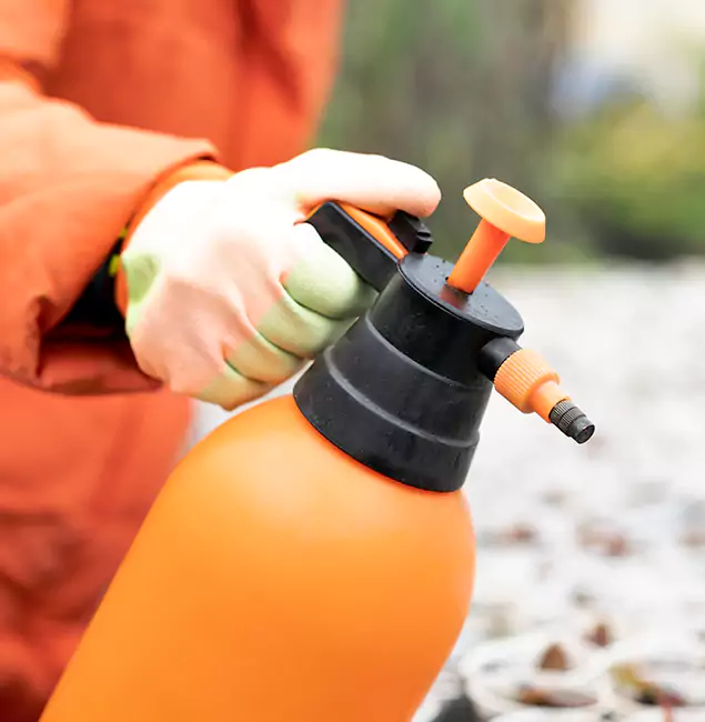 Why Choose Stockbridge Pest Control Pro for Orange Termite Treatment in Stockbridge, GA?