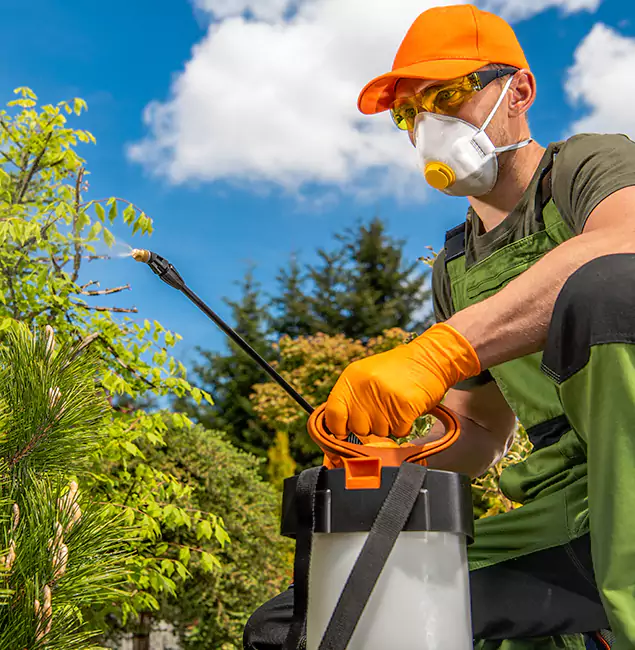 Why Choose Stockbridge Pest Control Pro for Outdoor Pest Control in Stockbridge, GA?