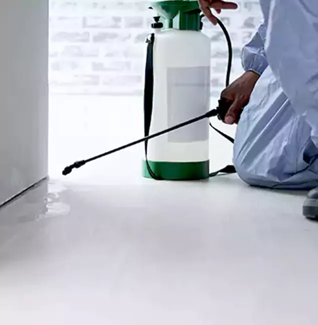 Why Choose Stockbridge Pest Control Pro for Rat Exterminator in Stockbridge, GA?