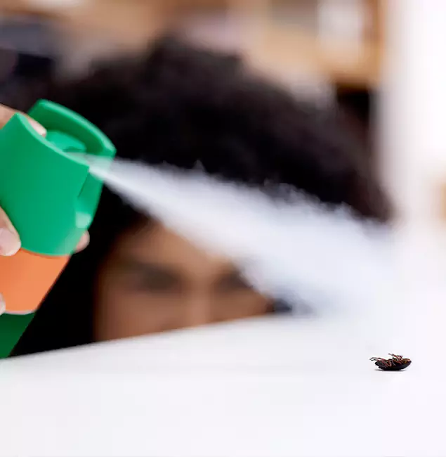Why Stockbridge, GA Homeowners Choose Stockbridge Pest Control Pro for Roach Pest Control?