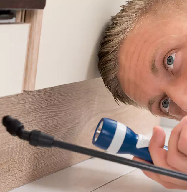 Why Choose Stockbridge Pest Control Pro for Rodent Exterminator in Stockbridge, GA?