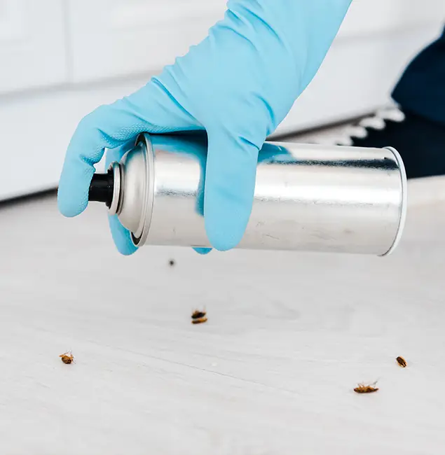Why Choose Stockbridge Pest Control Pro for Safe Bed Bug Treatment in Stockbridge, GA?
