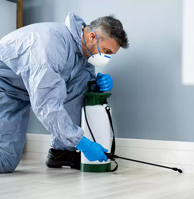 Why Choose Stockbridge Pest Control Pro for Subterranean Termites Treatment in Stockbridge, GA?