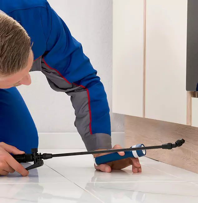 Why Stockbridge Residents Choose Stockbridge Pest Control Pro to Get Rid of Sugar Ants?