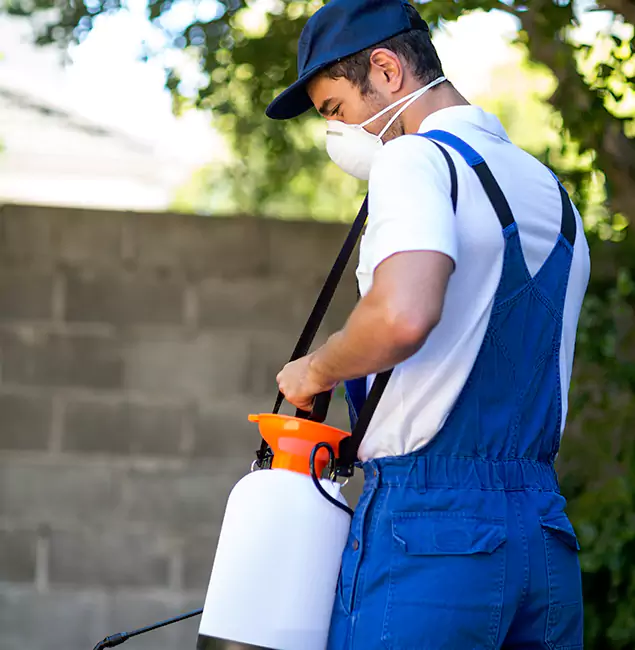 Why Stockbridge Pest Control Pro Is the Right Choice for Yellow Jacket Removal in Stockbridge, GA?