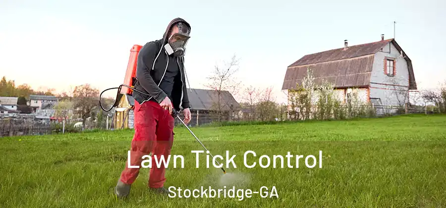 Lawn Tick Control Stockbridge-GA