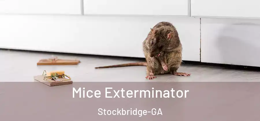 Mice Exterminator Stockbridge-GA