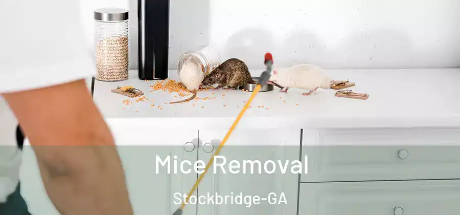 Mice Removal Stockbridge-GA
