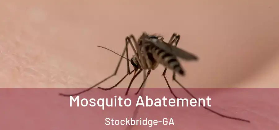  Mosquito Abatement Stockbridge-GA