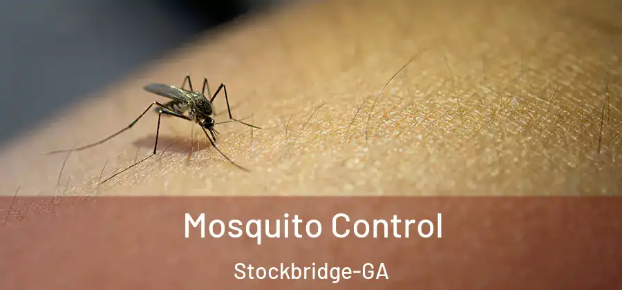  Mosquito Control Stockbridge-GA