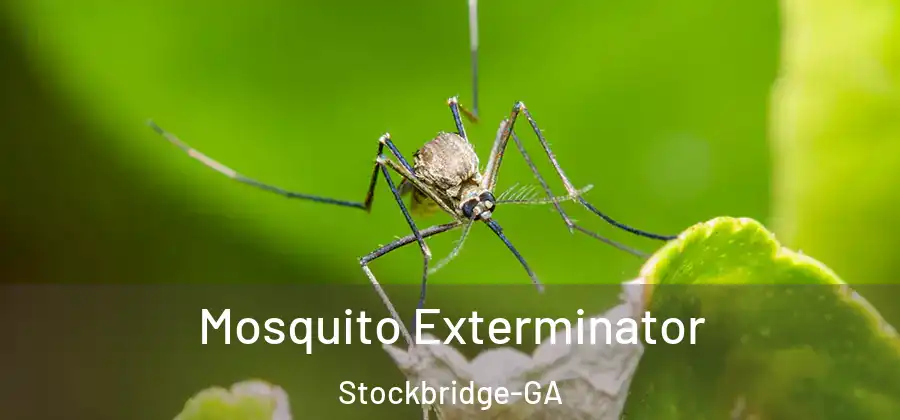  Mosquito Exterminator Stockbridge-GA